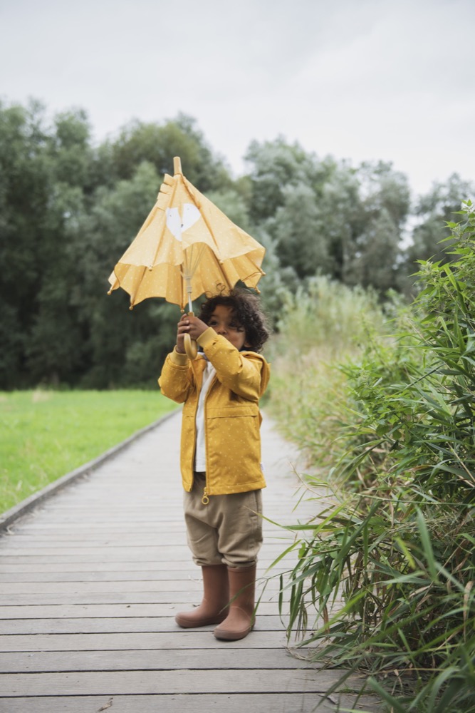 Umbrella  - Mr. Lion